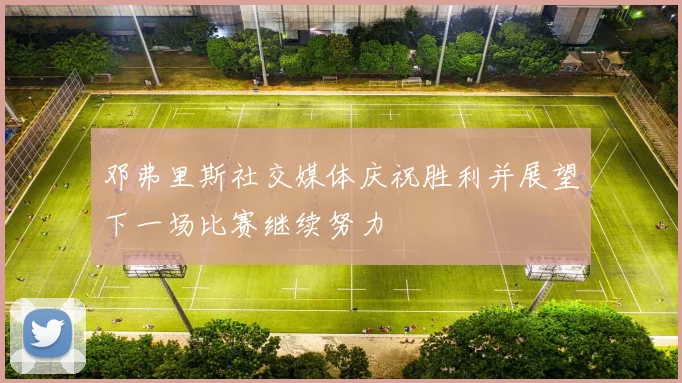 邓弗里斯社交媒体庆祝胜利并展望下一场比赛继续努力